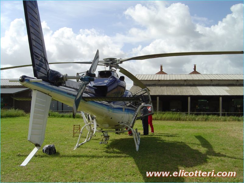 elifoto (86)